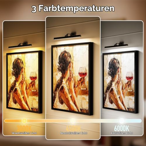 AIBOO kabellose LED Bilderleuchte 60 cm, aufladbar mit Fernbedienung, Schwarz