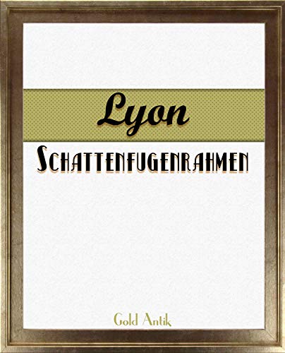 Homedeco-24 Lyon Schattenfugenrahmen 40x60 cm in Gold Antik ohne Verglasung ideal für Canvas Leinwand Bilder Farbwahl