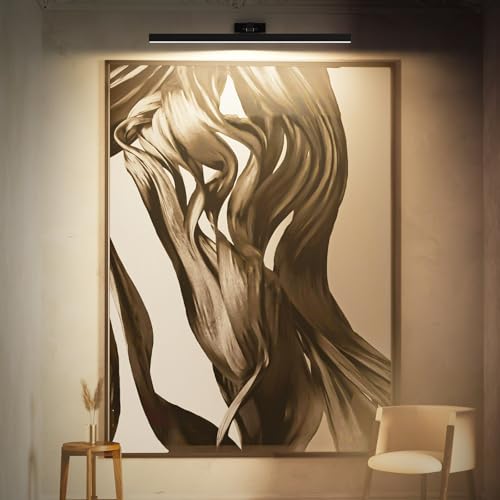 AIBOO kabellose LED Bilderleuchte 60 cm, aufladbar mit Fernbedienung, Schwarz