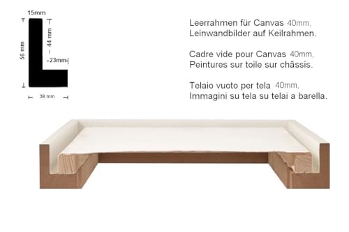 Stallmann Design Schattenfugenrahmen für Keilrahmen | 50x50 cm | gold | MDF Rahmen für Leinwände mit außergewöhnlicher Tiefenwirkung (40mm) | mit Montagezubehör | ohne Glas und Rückwand