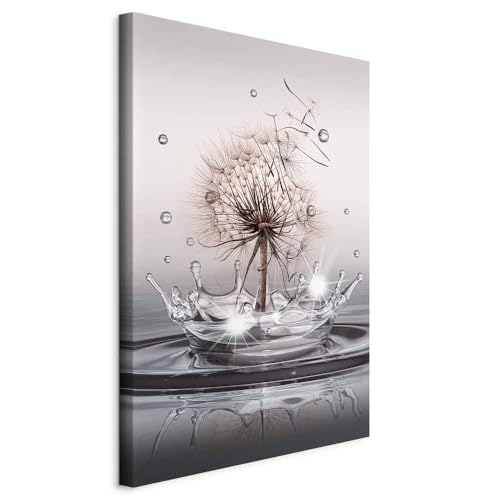 murando - Wandbilder XXL Pusteblume 40x60 cm 1 tlg - Vlies Leinwandbild Kunstdruck modern Bilder Wanddeko Wohnzimmer Schlafzimmer Bild - Natur Wassertropfen Blumen Löwenzahn Tautropfen b-C-0732-b-a