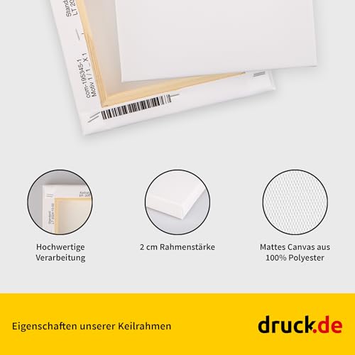 Keilrahmen Set aus 1 Stück in 80x120 cm, weiße Künstlerleinwand aus Polyester, zum Bemalen, fertig bespannt, geeignet für Acrylfarben oder Textilfarben, DIY Projektbedarf für Maler und Künstler