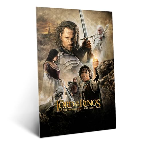 Metallposter Der Herr der Ringe Rückkehr des Königs Wanddeko für Wohnzimmer und Schlafzimmer Geschenkidee Poster 32 cm x 45 cm